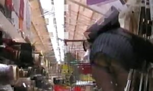 布里奇特性下在古里的猫
